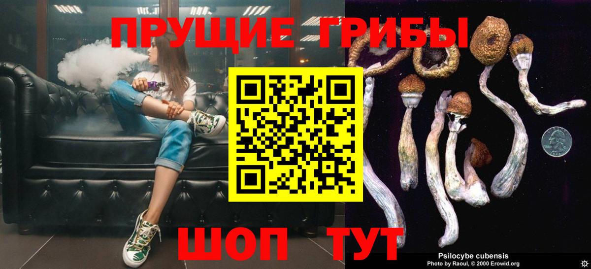 Киреевск  Галлюциногенные грибы Cubensis  Вход с VPN 